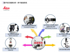 男性不育的精準(zhǔn)檢測-生殖健康相關(guān)研究工具