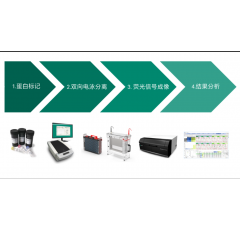Ettan 2D DIGE 熒光差異蛋白表達分析系統(tǒng)